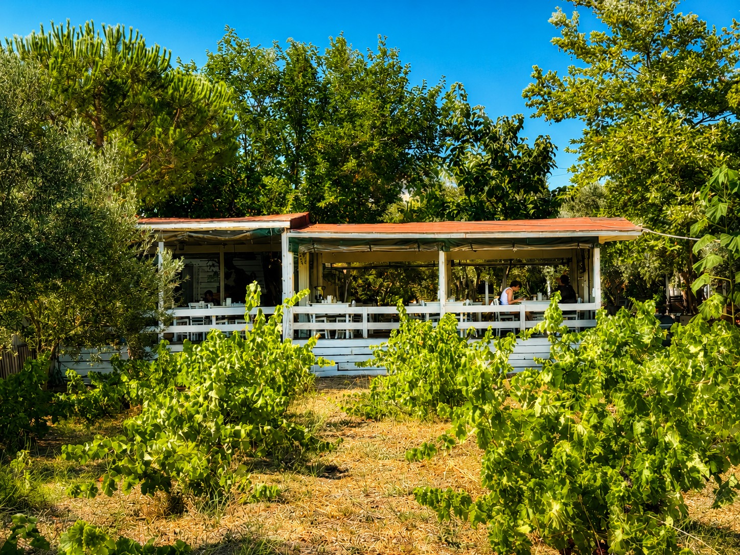 Arşipel Otel restoran görseli 4